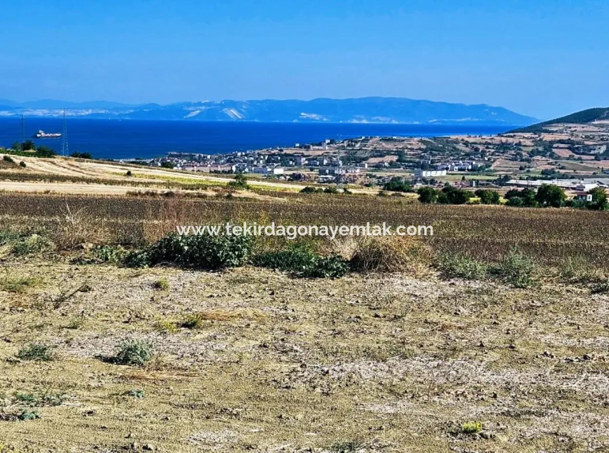 Asyaport Limanı Mevcut İmar Planı İçinde ( Ticari & Sanai ) Alanı Bölgedinde Acil Satılık 6.400 M2 Yatırım Fırsatı