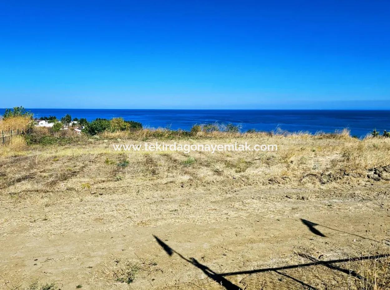 Tekirdağ Barbarosta Acil Satılık Full Deniz Manzaralı Müstakil Ev Yapmaya Uygun Kupon Arsa