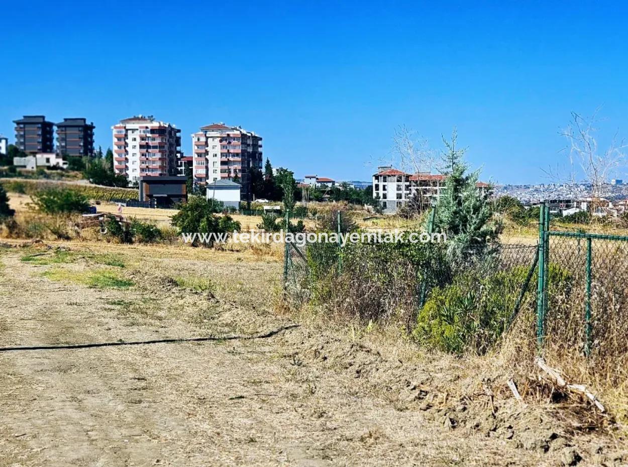 Tekirdağ Barbarosta Acil Satılık Full Deniz Manzaralı Müstakil Ev Yapmaya Uygun Kupon Arsa