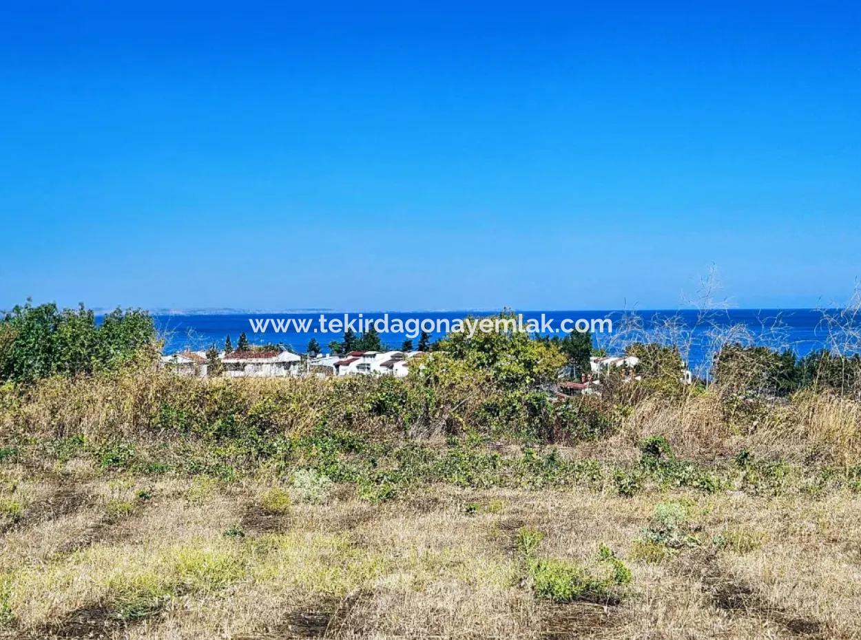 Tekirdağ Barbarosta Acil Satılık Full Deniz Manzaralı Müstakil Ev Yapmaya Uygun Kupon Arsa