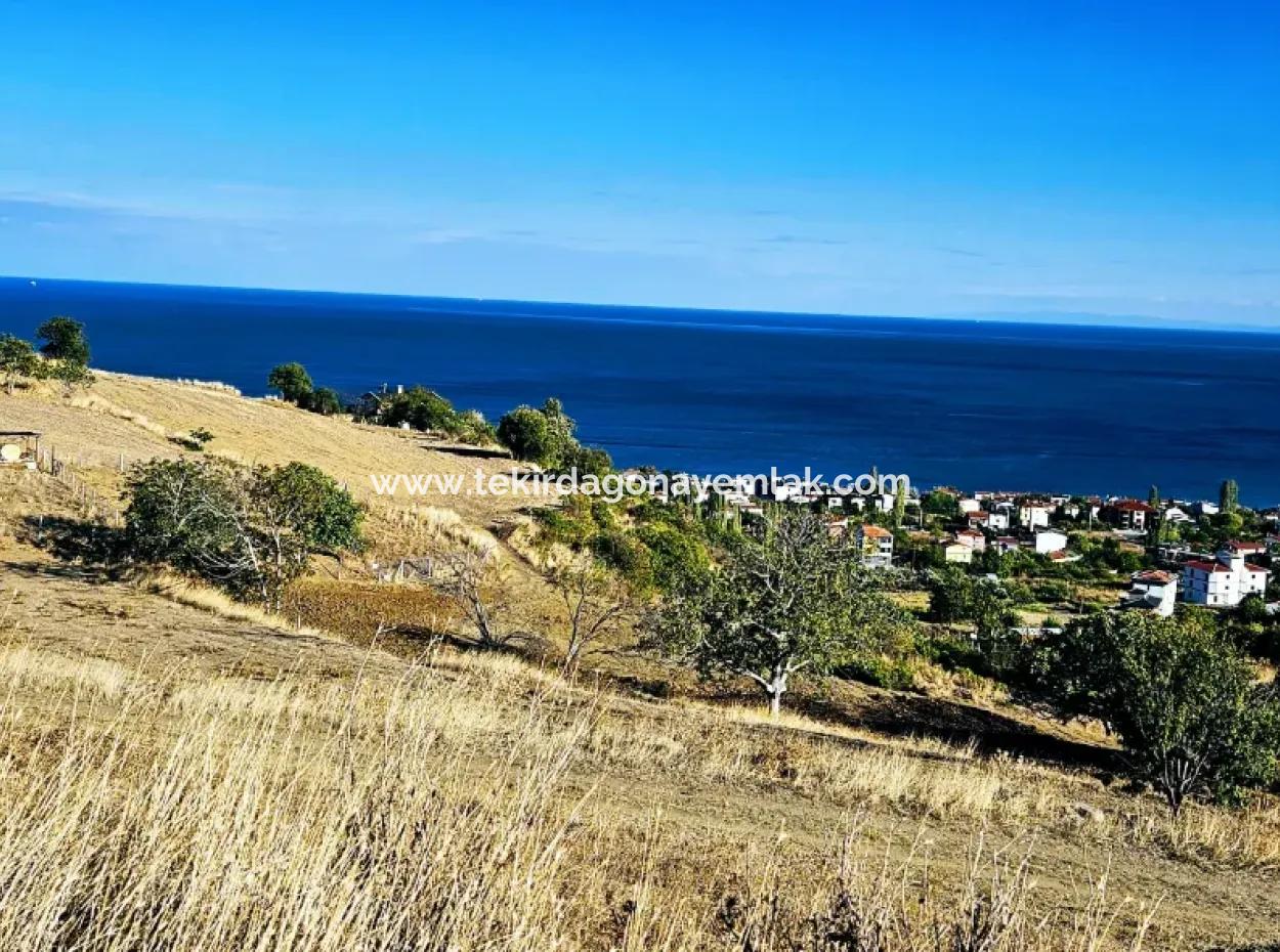 Tekirdağ Süleymanpaşa Barbaros Mahallesinde Muhteşem Deniz Ve Doğa Manzaralı Satılık 532 M2 Köşe Arsa