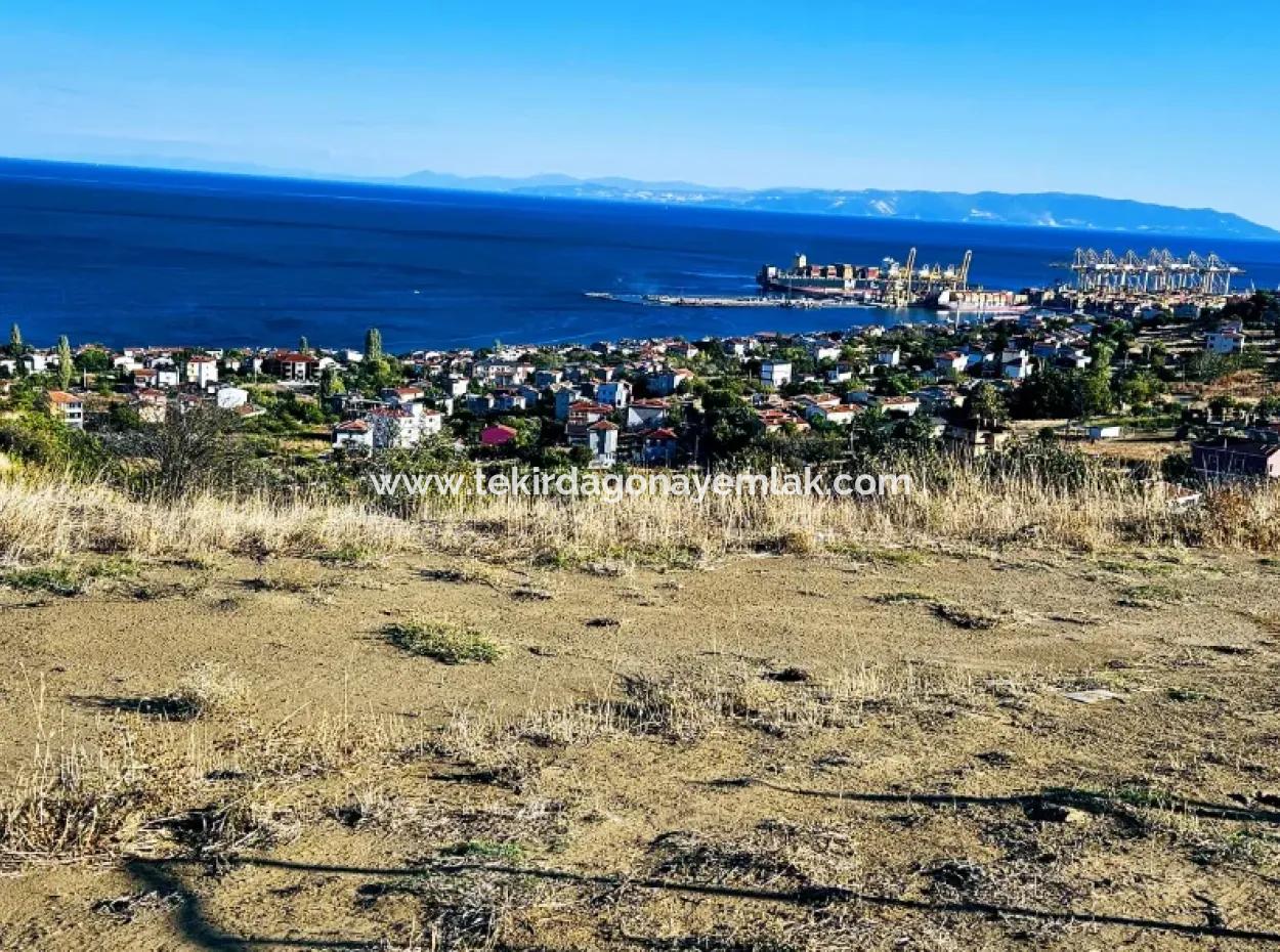 Tekirdağ Süleymanpaşa Barbaros Mahallesinde Muhteşem Deniz Ve Doğa Manzaralı Satılık 532 M2 Köşe Arsa