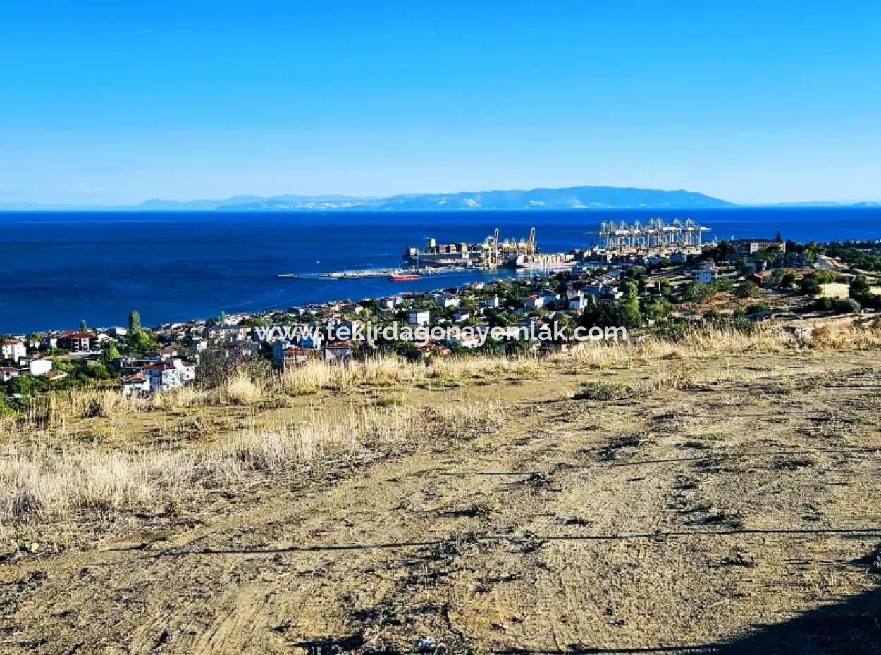 Tekirdağ Süleymanpaşa Barbaros Mahallesinde Muhteşem Deniz Ve Doğa Manzaralı Satılık 532 M2 Köşe Arsa