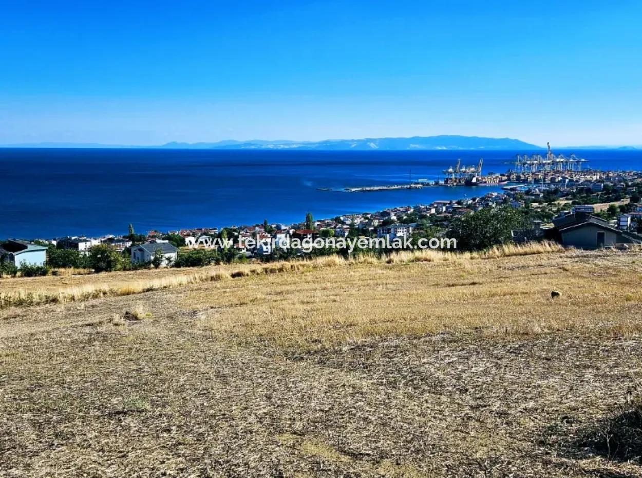 Tekirdağ Barbarosta Acil Satılık Full Deniz Manzaralı 25 Dairelik Kupon Yer