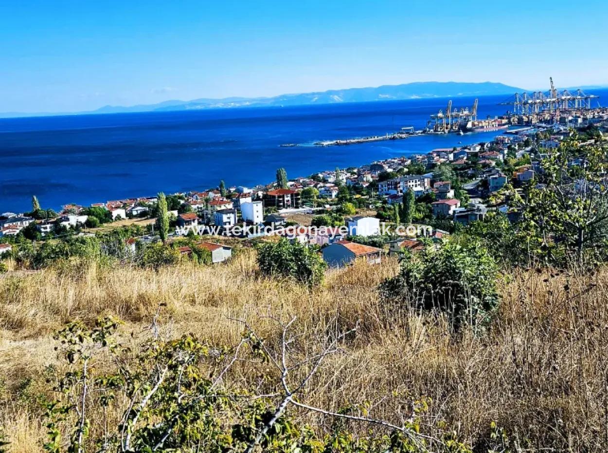 Tekirdağ Barbarosta Acil Satılık Full Deniz Manzaralı 25 Dairelik Kupon Yer