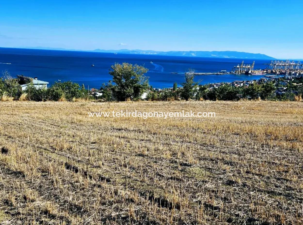 Tekirdağ Barbarosta Acil Satılık Full Deniz Manzaralı 25 Dairelik Kupon Yer