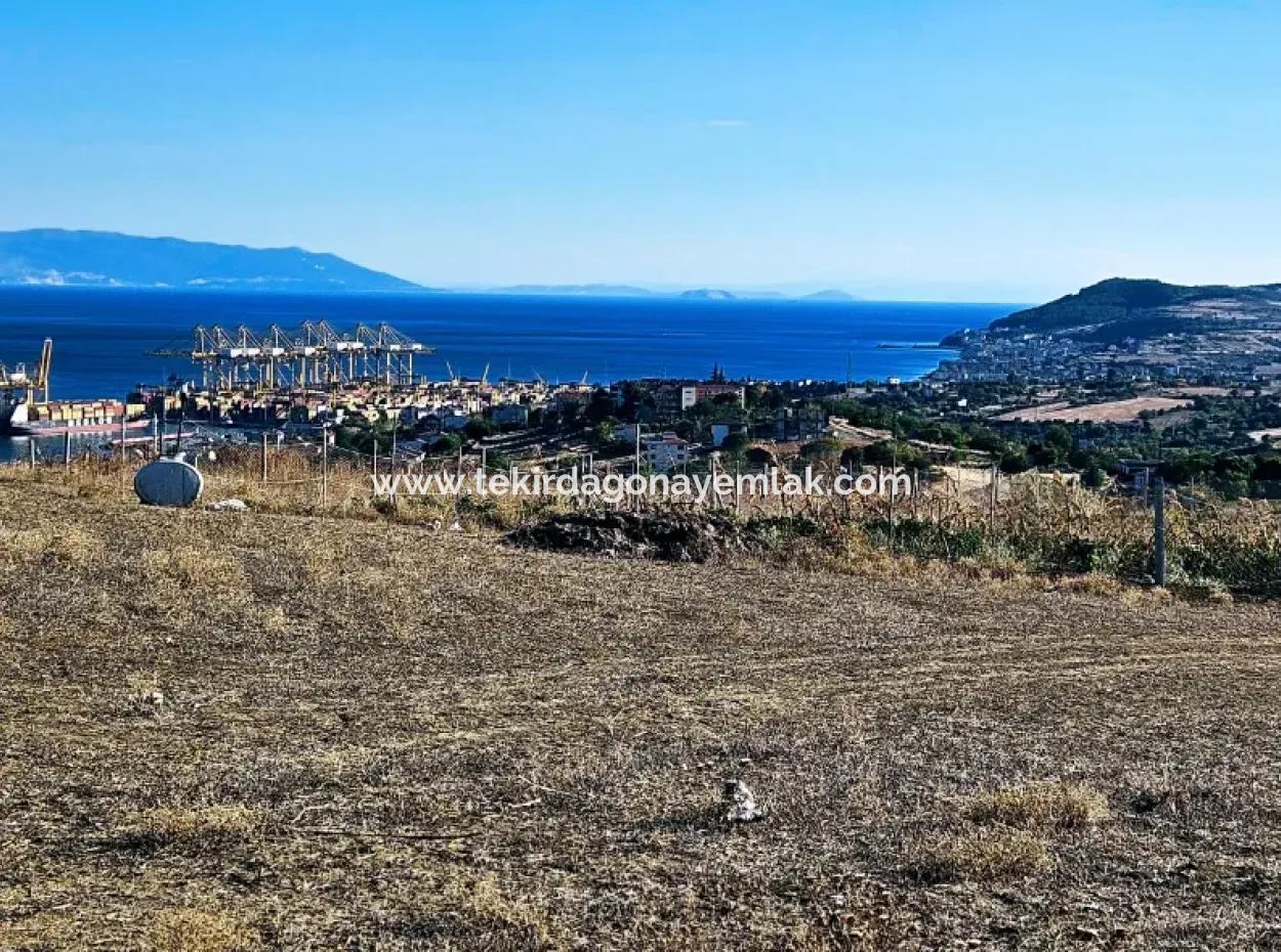Tekirdağ Barbarosta Acil Satılık Full Deniz Manzaralı 765 M2 Kelepir Arsa