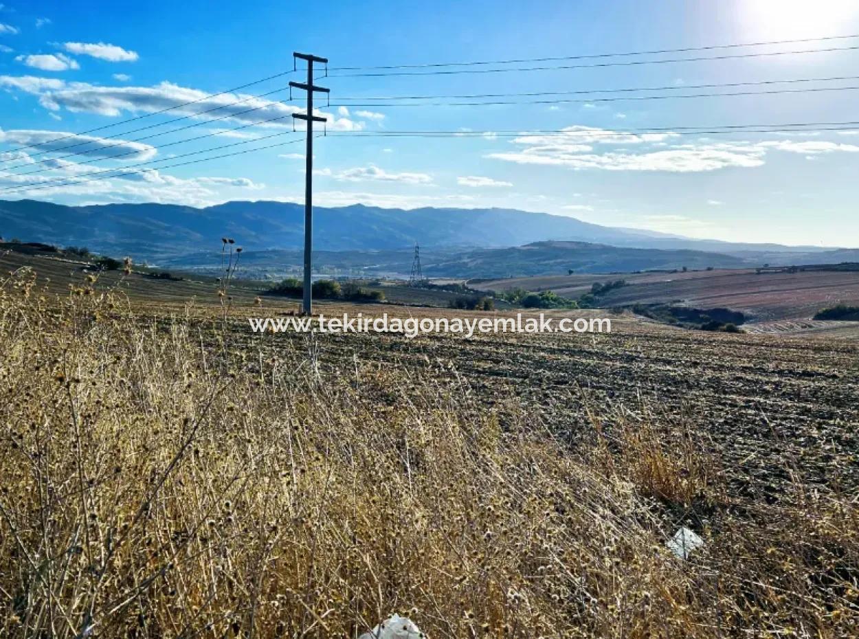 Asyaport Limanı Mevcut İmar Planı İçinde ( Ticari & Sanaii ) Alanı İçinde Anayol Cepheli 37.500 M2 Yatırım Fırsatı