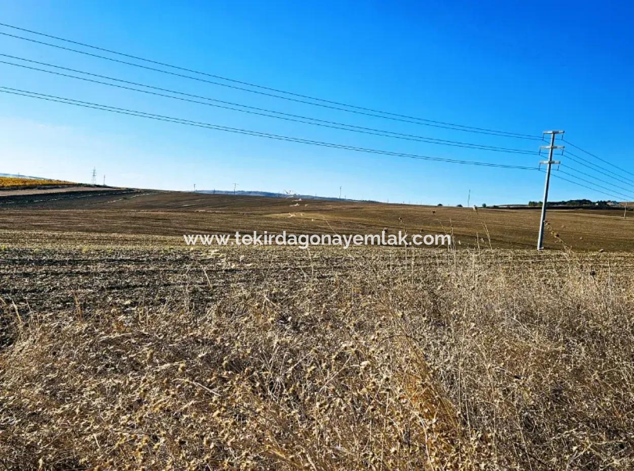 Asyaport Limanı Mevcut İmar Planı İçinde ( Ticari & Sanaii ) Alanı İçinde Anayol Cepheli 37.500 M2 Yatırım Fırsatı