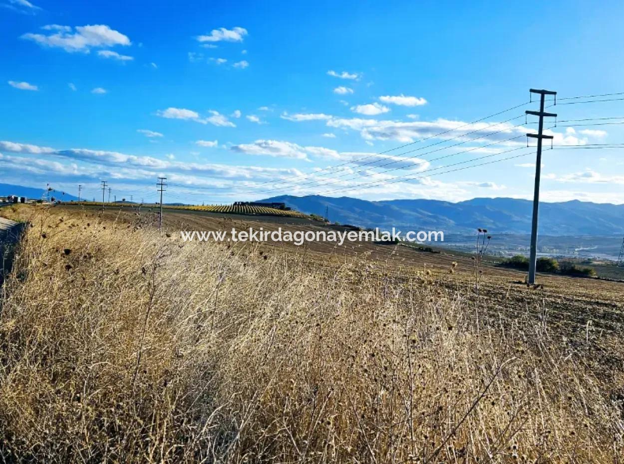 Asyaport Limanı Mevcut İmar Planı İçinde ( Ticari & Sanaii ) Alanı İçinde Anayol Cepheli 37.500 M2 Yatırım Fırsatı