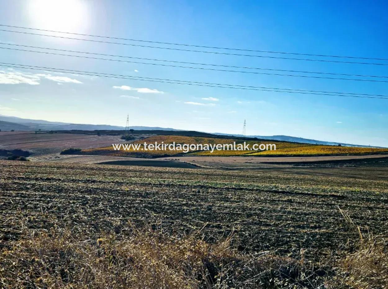 Asyaport Limanı Mevcut İmar Planı İçinde ( Ticari & Sanaii ) Alanı İçinde Anayol Cepheli 37.500 M2 Yatırım Fırsatı