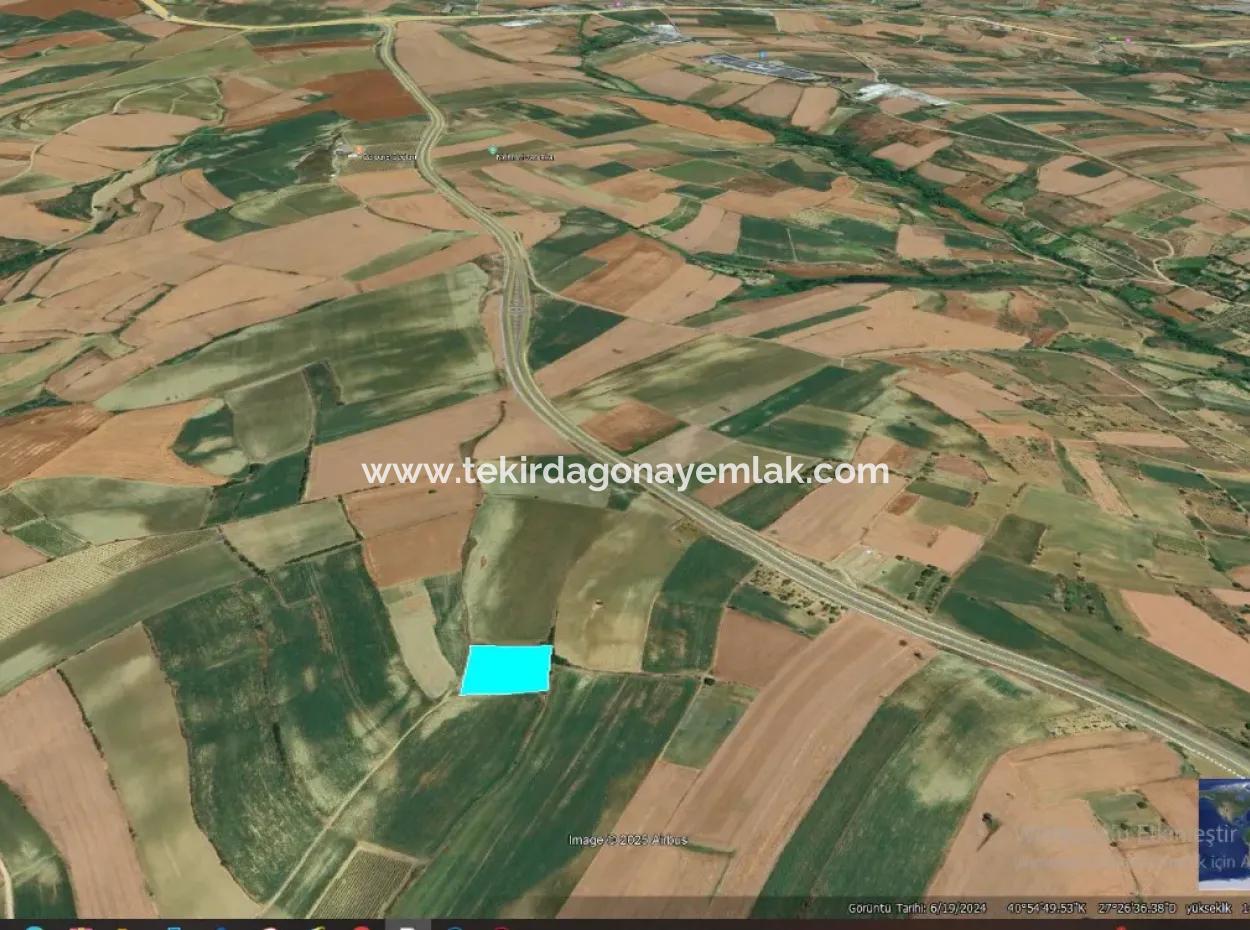 Asyaport Limanı Mevcut İmar Planı İçinde ( Ticari & Sanai ) Alanı Bölgedinde Acil Satılık 6.400 M2 Yatırım Fırsatı