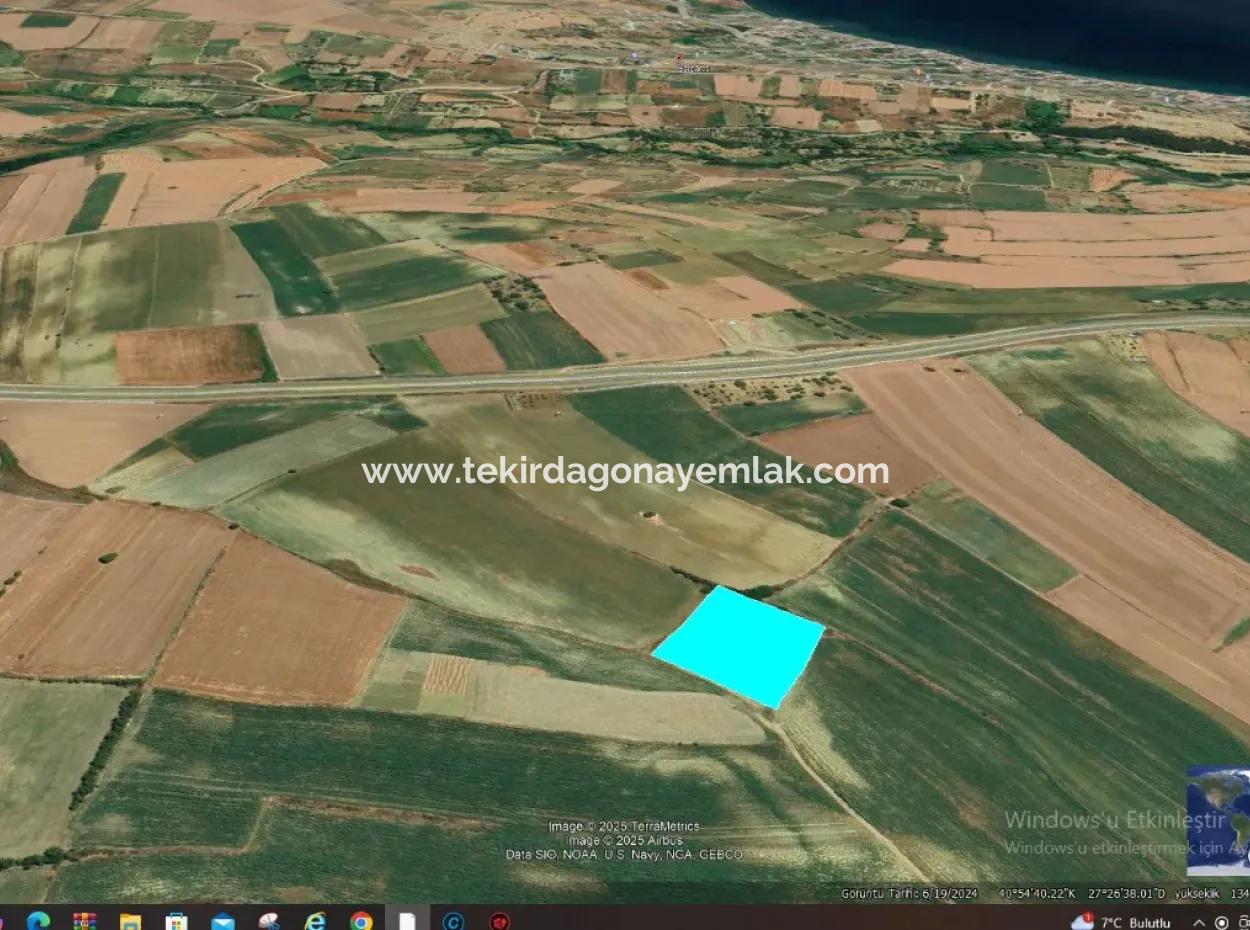 Asyaport Limanı Mevcut İmar Planı İçinde ( Ticari & Sanai ) Alanı Bölgedinde Acil Satılık 6.400 M2 Yatırım Fırsatı