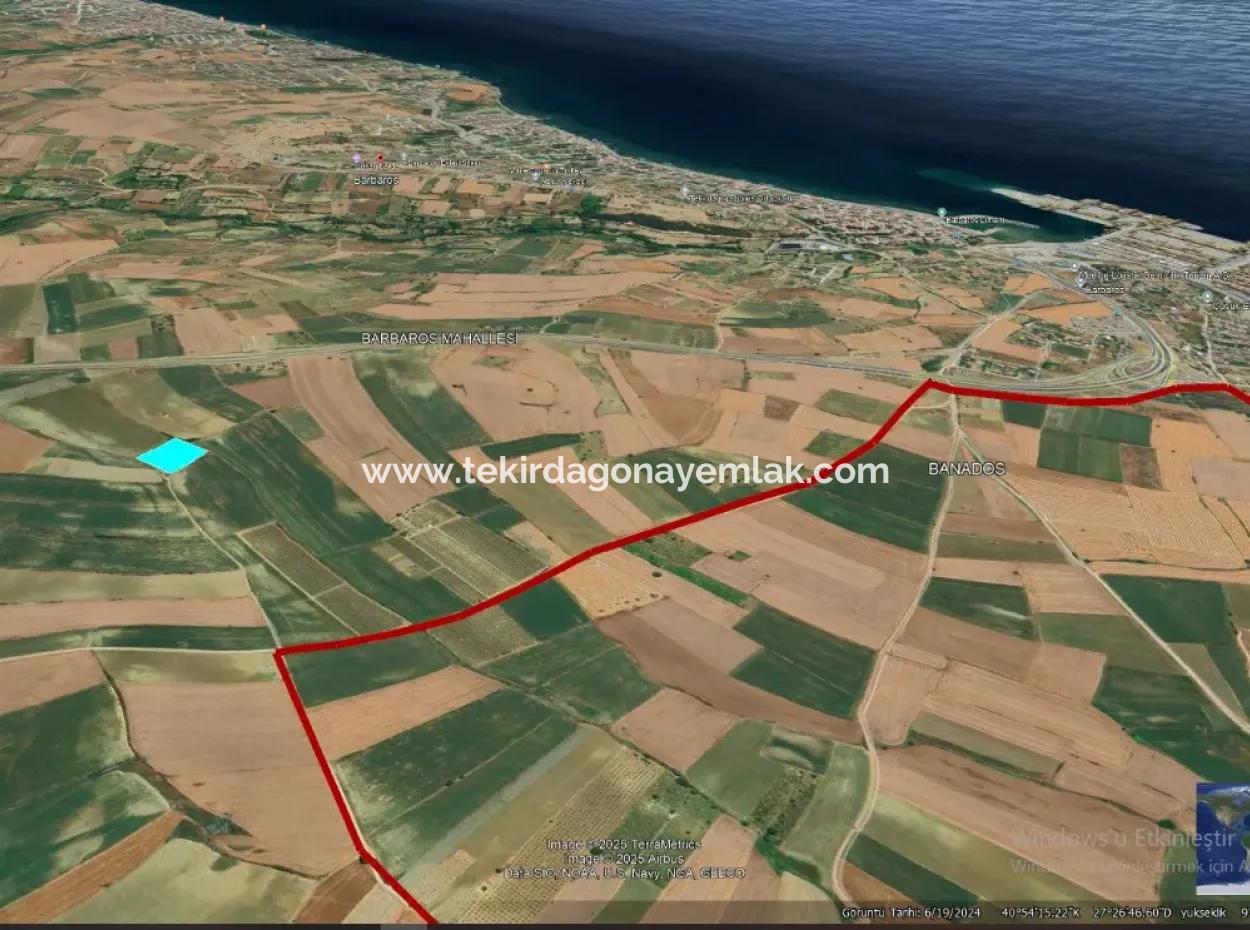 Asyaport Limanı Mevcut İmar Planı İçinde ( Ticari & Sanai ) Alanı Bölgedinde Acil Satılık 6.400 M2 Yatırım Fırsatı