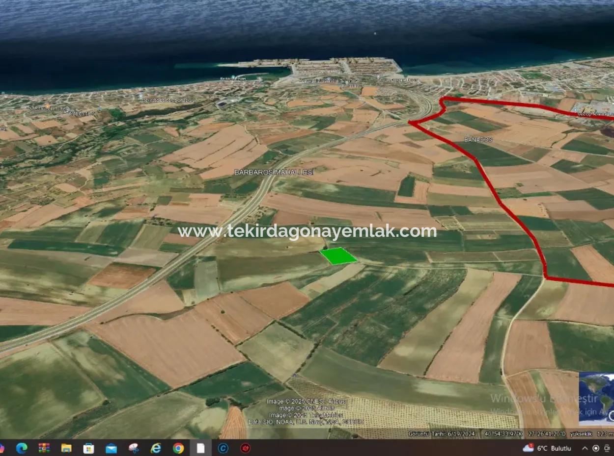 Asyaport Limanı Mevcut İmar Planı İçinde ( Ticari & Sanai ) Alanı Bölgedinde Acil Satılık 6.400 M2 Yatırım Fırsatı