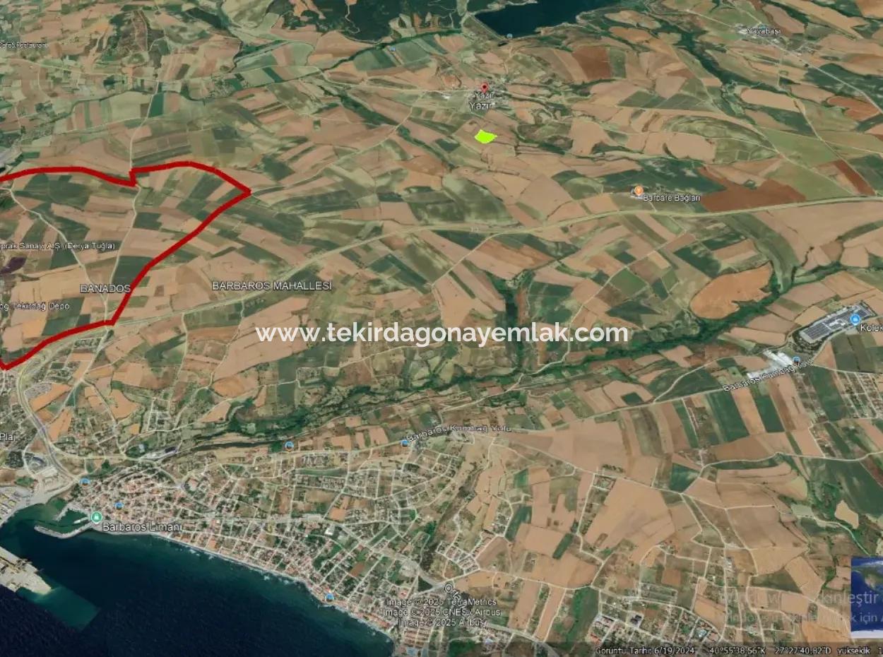 Asyaport Limanı Mevcut İmara Yakın 16.100 Acil Satılık Yatırımlık Kelepir Kupon Tarla