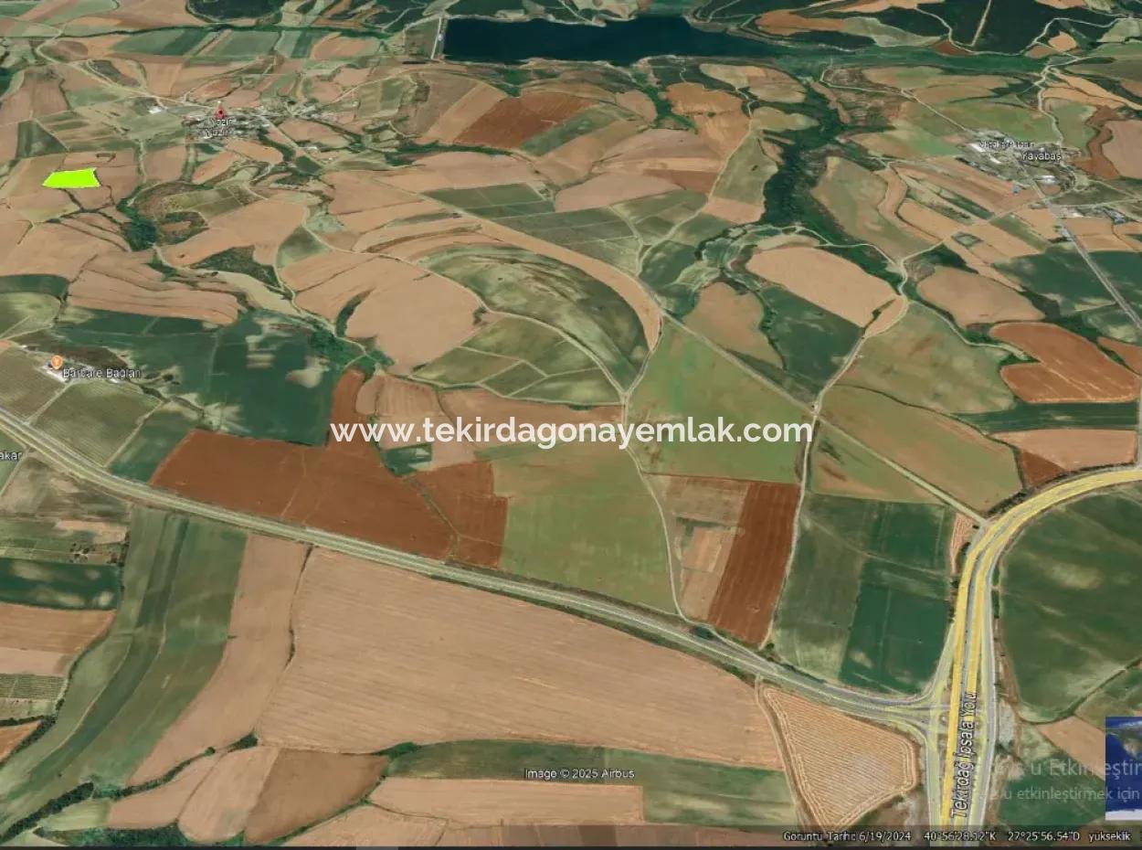 Asyaport Limanı Mevcut İmara Yakın 16.100 Acil Satılık Yatırımlık Kelepir Kupon Tarla