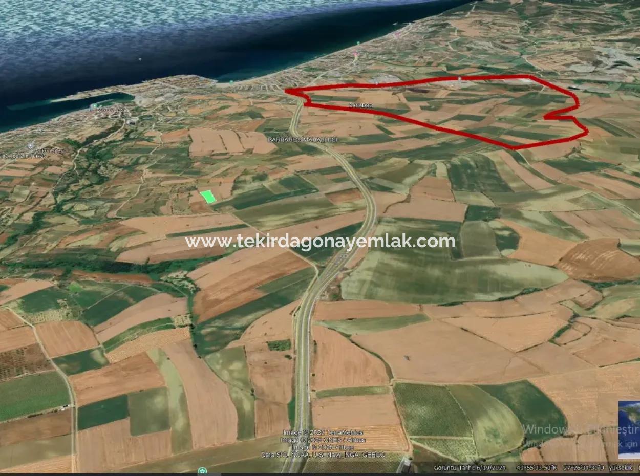 Asyaport Limanı Mevcut İmar Planı İçinde Yatırımcısına Yüksek Kazanç Garantisi Fırsat Arazi