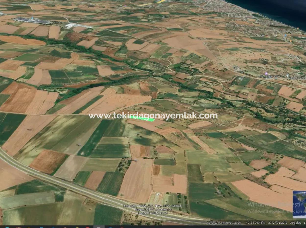 Asyaport Limanı Mevcut İmar Planı İçinde Yatırımcısına Yüksek Kazanç Garantisi Fırsat Arazi