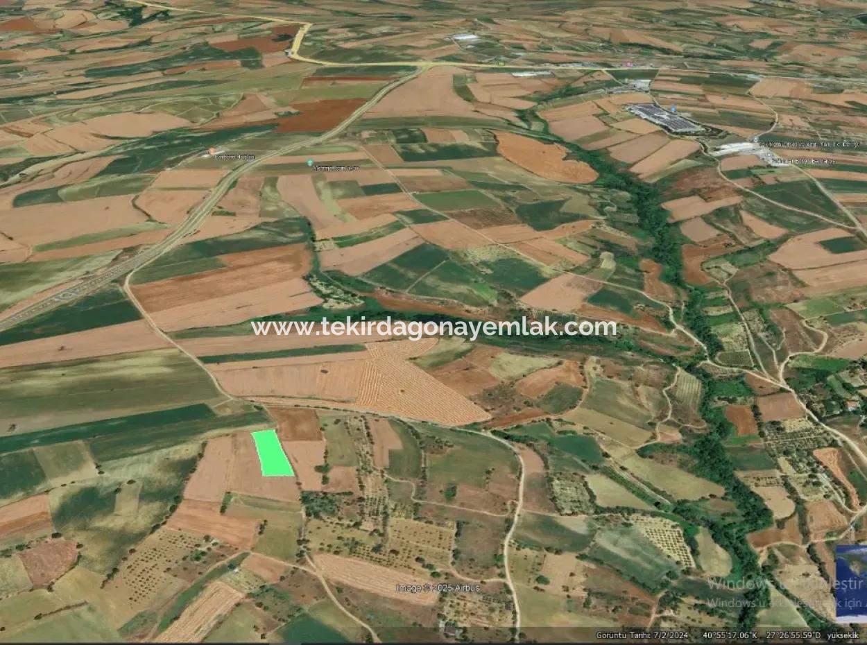 Asyaport Limanı Mevcut İmar Planı İçinde Yatırımcısına Yüksek Kazanç Garantisi Fırsat Arazi