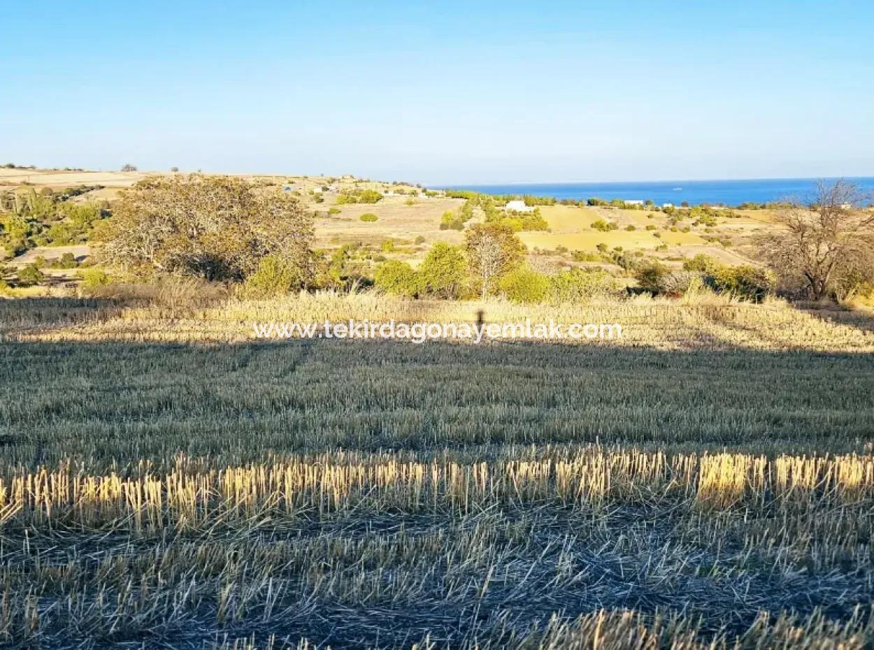 Asyaport Limanı Mevcut İmar Planı İçinde Yatırımcısına Yüksek Kazanç Garantisi Fırsat Arazi