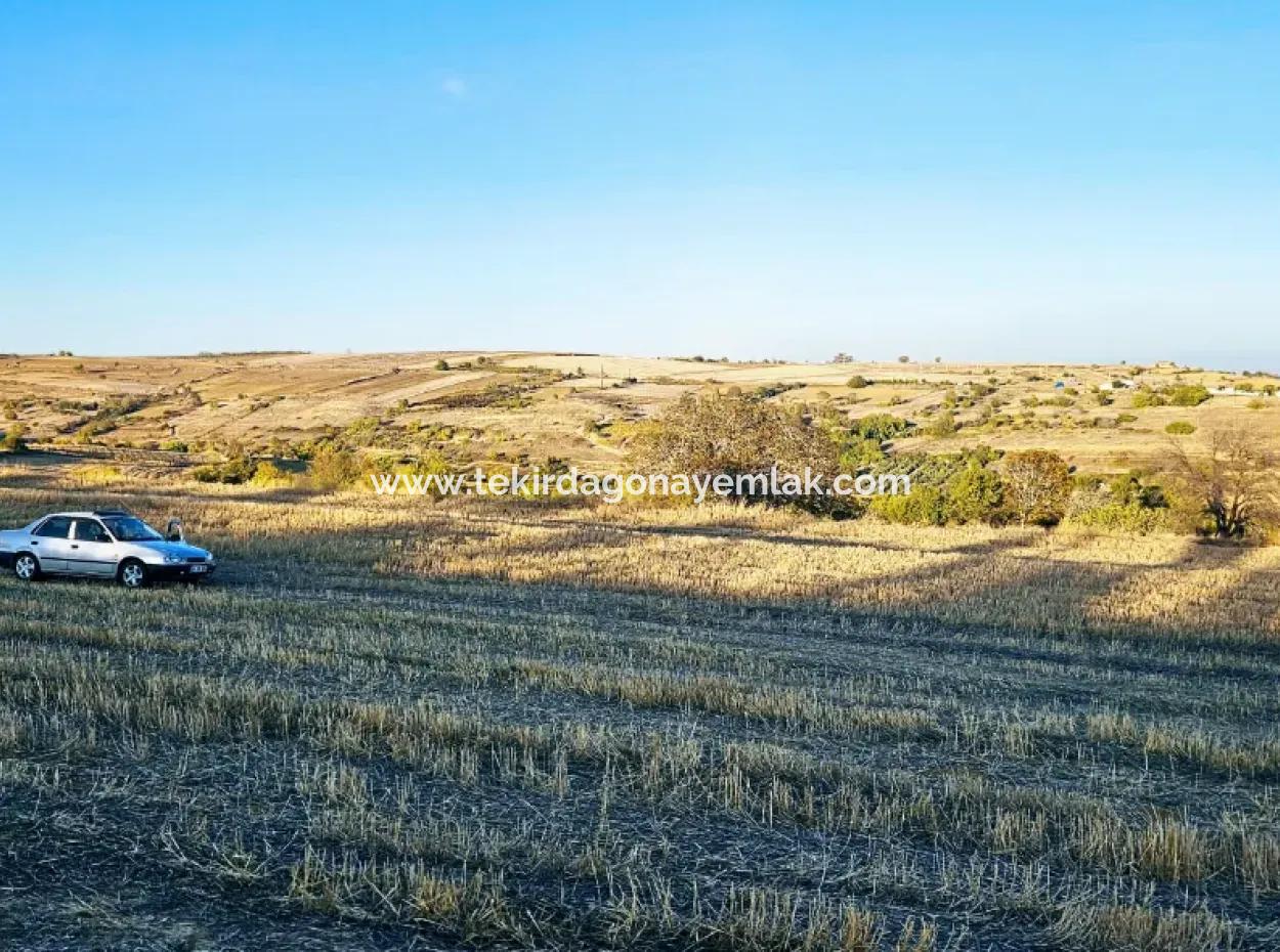 Asyaport Limanı Mevcut İmar Planı İçinde Yatırımcısına Yüksek Kazanç Garantisi Fırsat Arazi