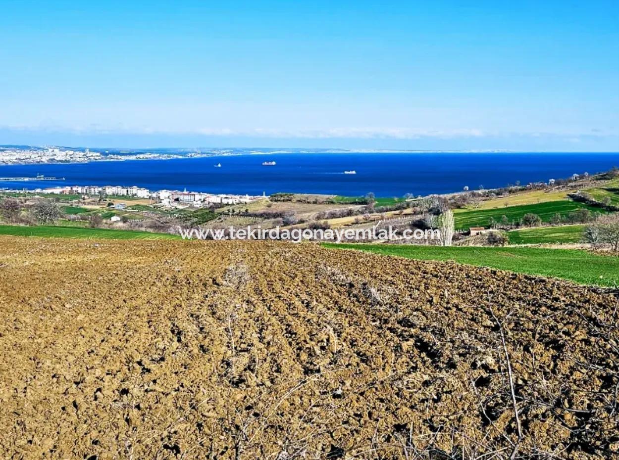 Tekirdağ Barbarosta Lüxs Villa Projeni Yap. Mütahitlere Kat Karşılığı Ver  Yüksek Kazanç Sağla Full Deniz Manzaralı Villa İmarlı Arazi