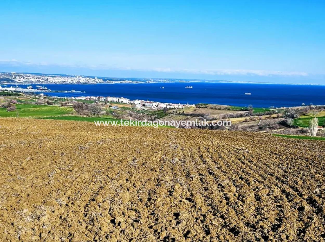 Tekirdağ Barbarosta Lüxs Villa Projeni Yap. Mütahitlere Kat Karşılığı Ver  Yüksek Kazanç Sağla Full Deniz Manzaralı Villa İmarlı Arazi