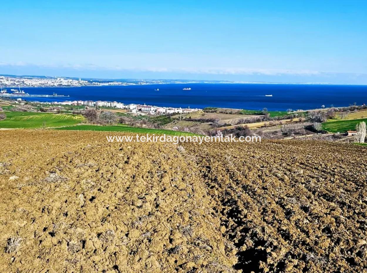 Tekirdağ Barbarosta Lüxs Villa Projeni Yap. Mütahitlere Kat Karşılığı Ver  Yüksek Kazanç Sağla Full Deniz Manzaralı Villa İmarlı Arazi