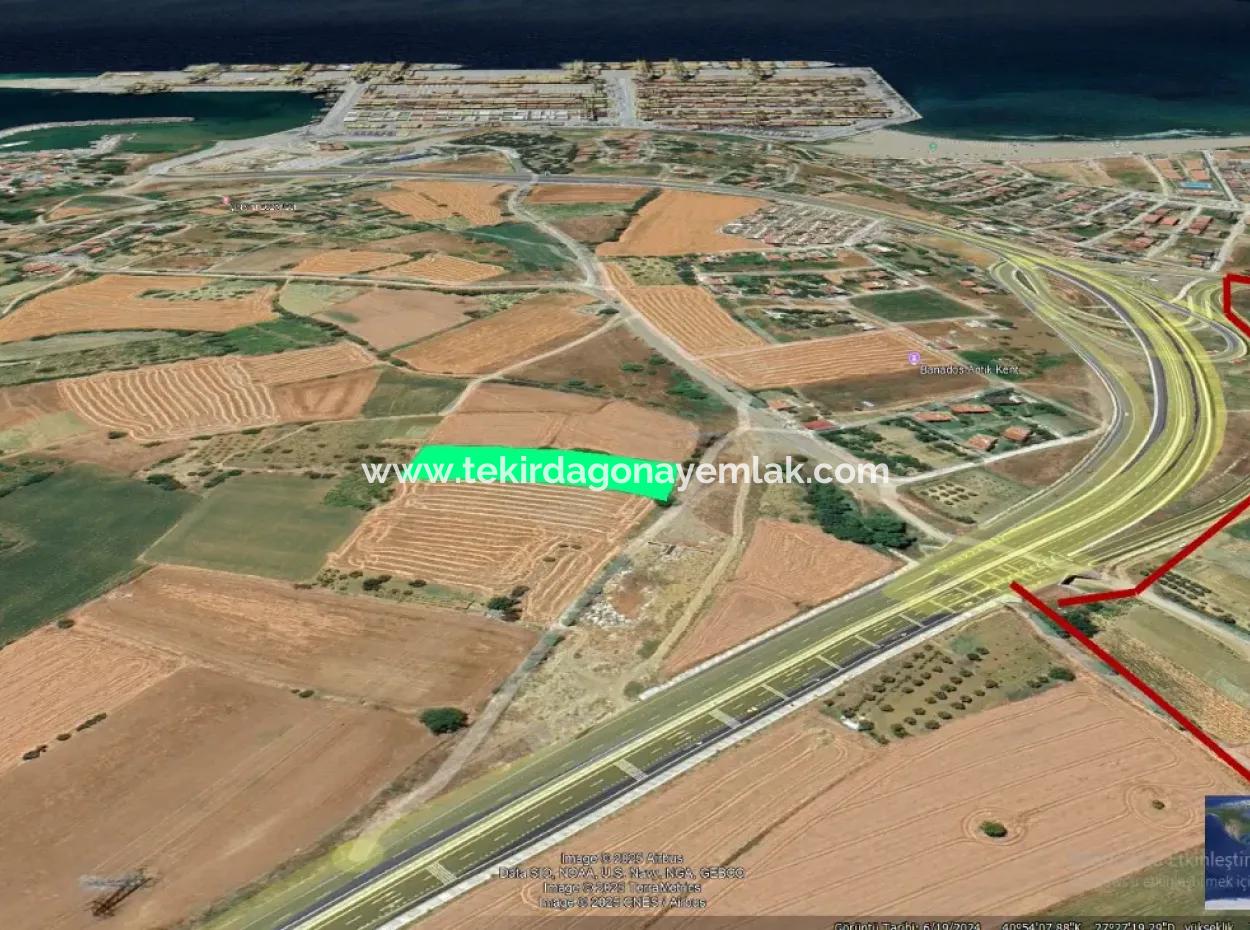 Asyaport Limanına Sadece 1 Km Yakınlıkta Acil Satılık 4.150 M2 Konut İmarlı Tarla