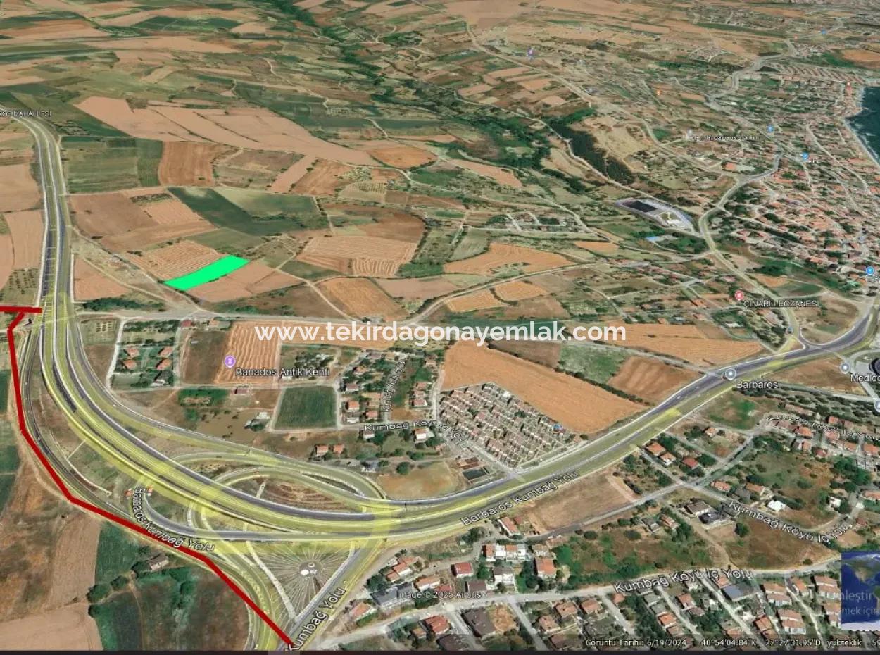 Asyaport Limanına Sadece 1 Km Yakınlıkta Acil Satılık 4.150 M2 Konut İmarlı Tarla