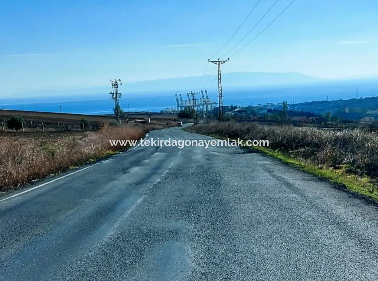 Acil Satılık Fabrikalar Bölgesinde 5.400 M2 Yüksek Kazanç Garantisi Fırsat Yer