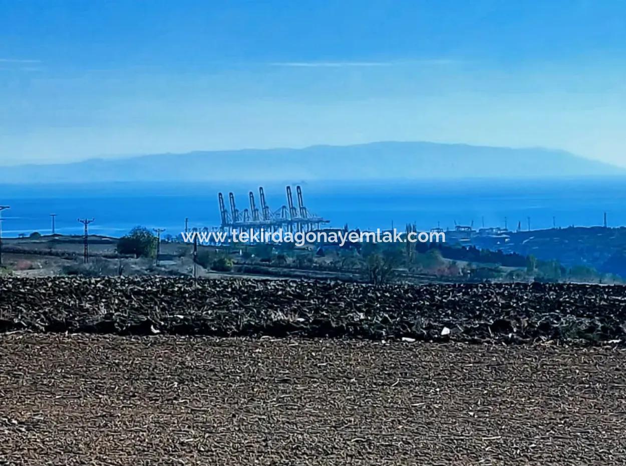 Acil Satılık Fabrikalar Bölgesinde 5.400 M2 Yüksek Kazanç Garantisi Fırsat Yer