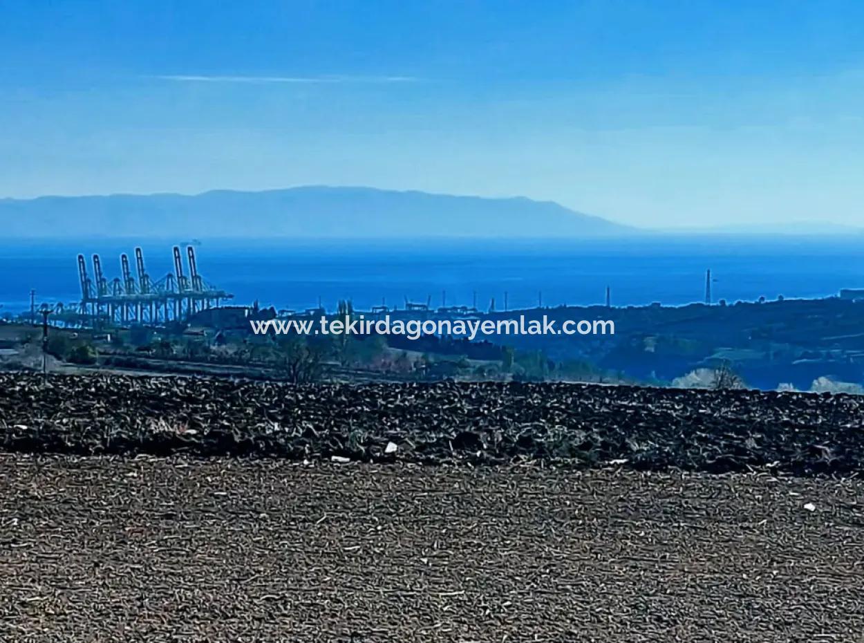 Acil Satılık Fabrikalar Bölgesinde 5.400 M2 Yüksek Kazanç Garantisi Fırsat Yer