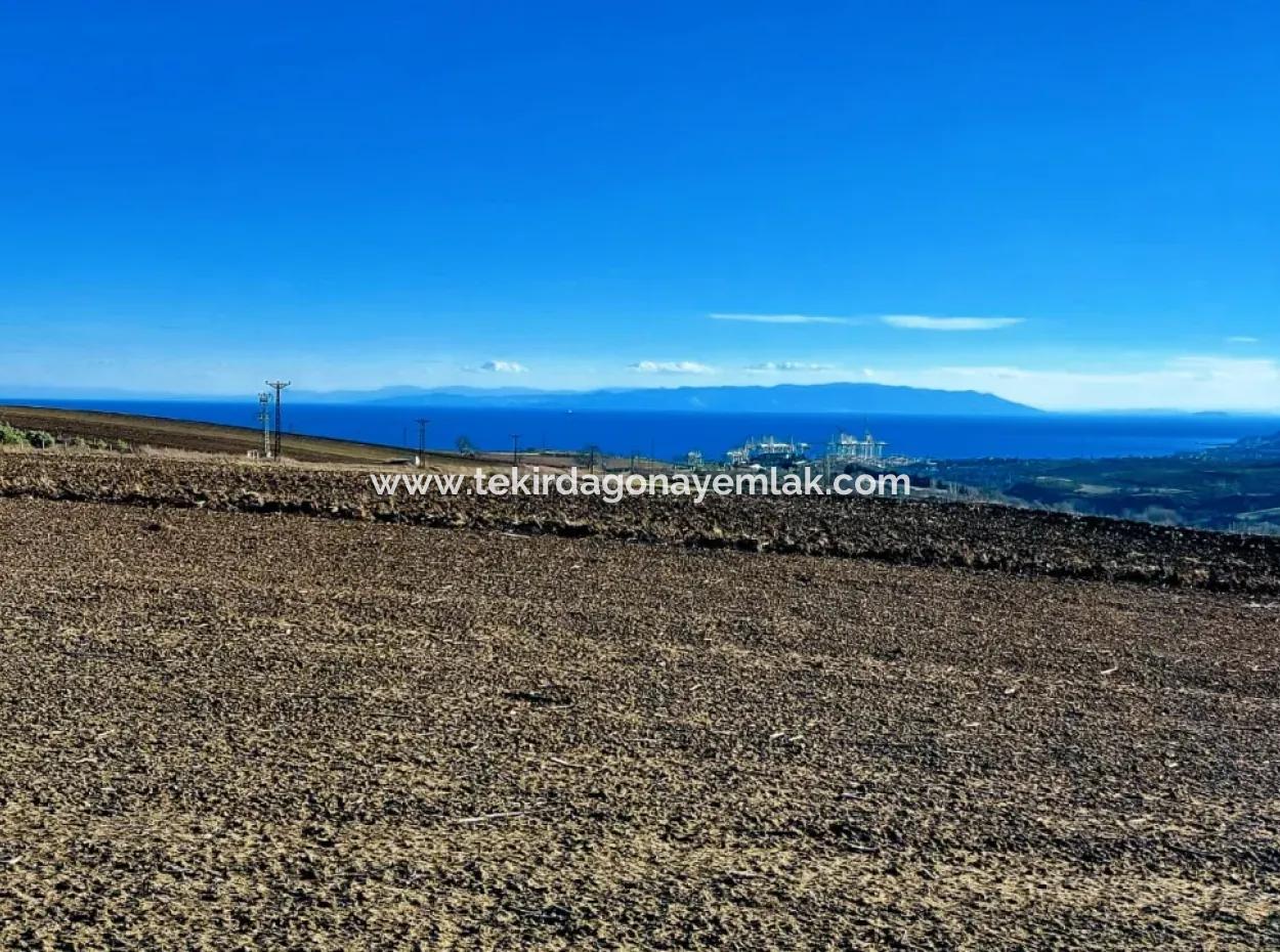 Acil Satılık Fabrikalar Bölgesinde 5.400 M2 Yüksek Kazanç Garantisi Fırsat Yer