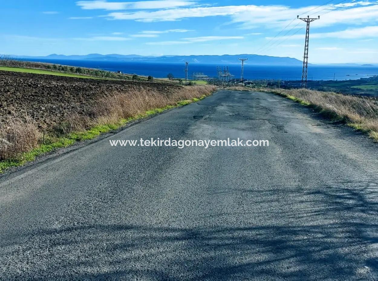 Acil Satılık Fabrikalar Bölgesinde 5.400 M2 Yüksek Kazanç Garantisi Fırsat Yer