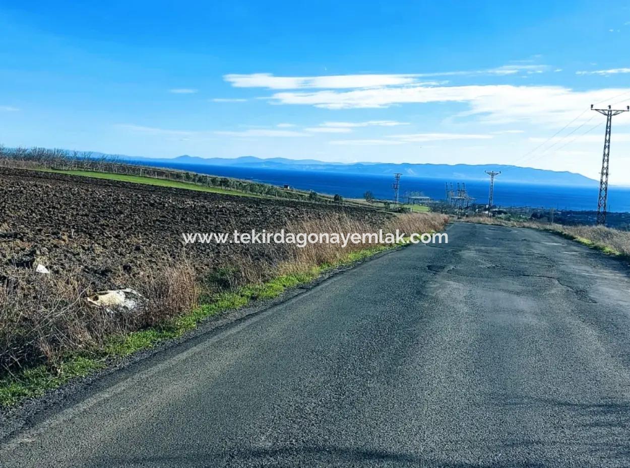 Acil Satılık Fabrikalar Bölgesinde 5.400 M2 Yüksek Kazanç Garantisi Fırsat Yer