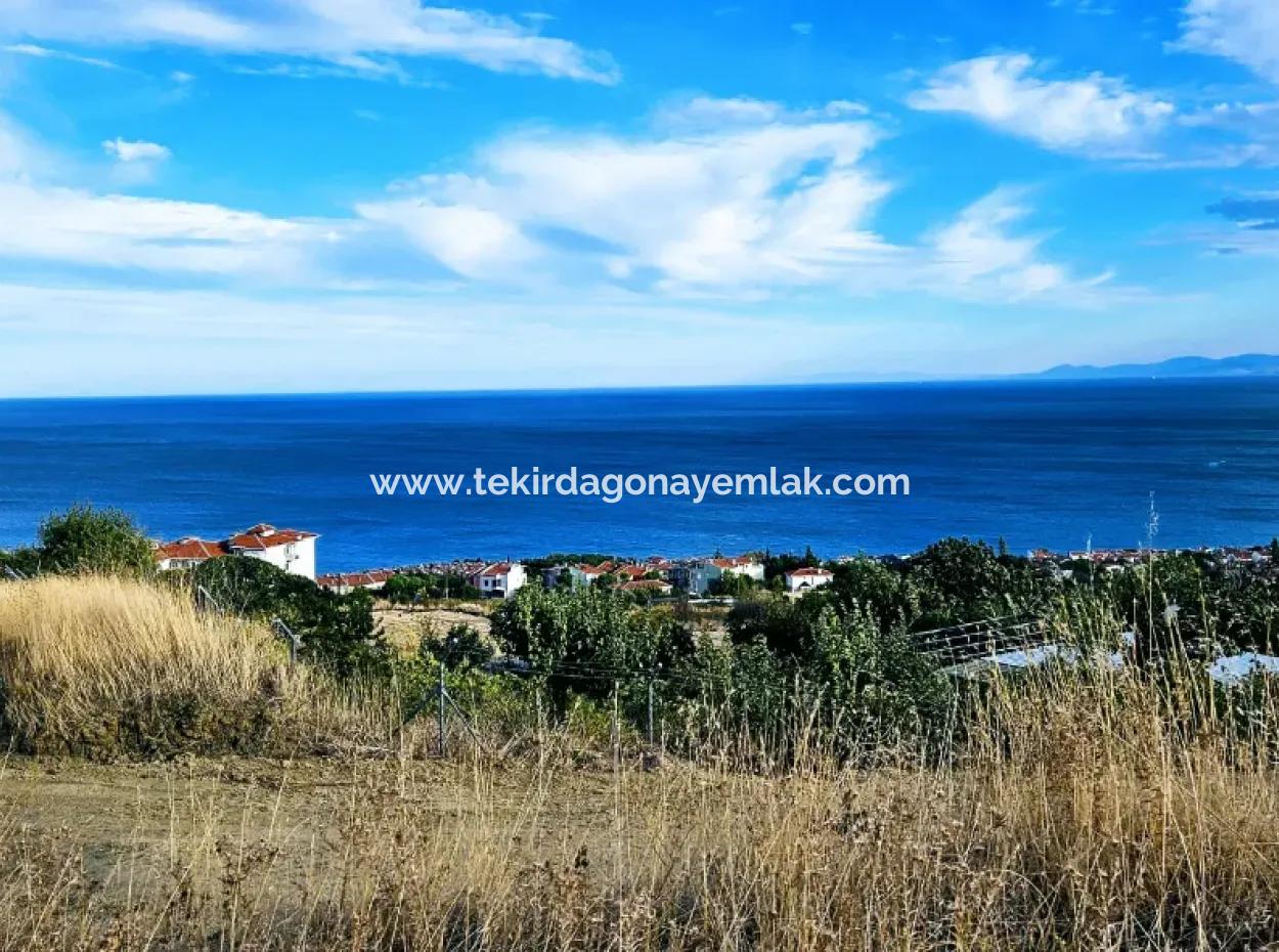 Acil Satılık Yatırrımcına Yüksek Kazanç Garantisi Mütahitlere Kat Karşılığı Verilecek Bölgede