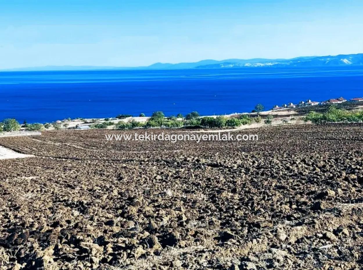 Yüksek Kazanç Garantisi 44 Dairelik Toplu Konut Alanı Yatırımını Yap Mütahitlere Ver Karını İkiye Katla