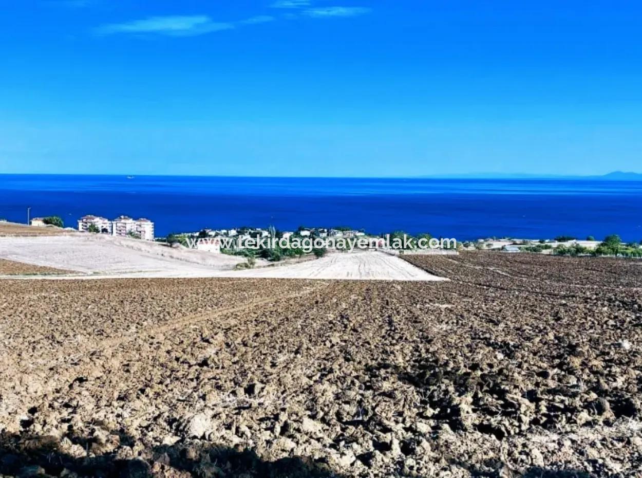 Yüksek Kazanç Garantisi 44 Dairelik Toplu Konut Alanı Yatırımını Yap Mütahitlere Ver Karını İkiye Katla