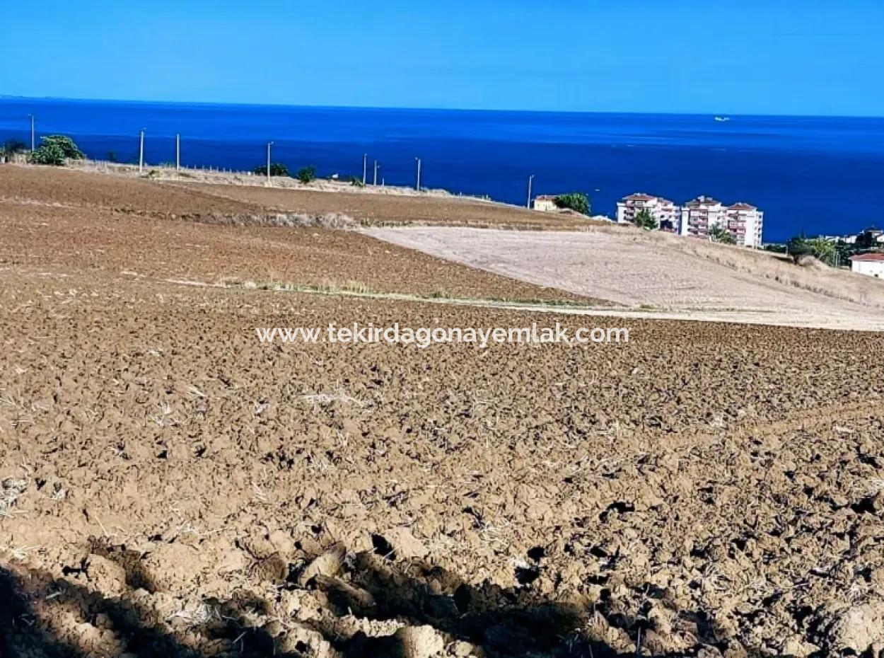 Yüksek Kazanç Garantisi 44 Dairelik Toplu Konut Alanı Yatırımını Yap Mütahitlere Ver Karını İkiye Katla