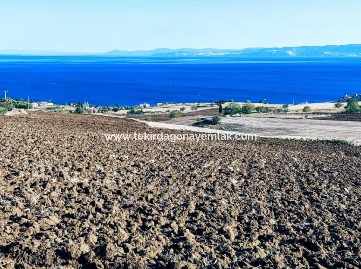 Yüksek Kazanç Garantisi 44 Dairelik Toplu Konut Alanı Yatırımını Yap Mütahitlere Ver Karını İkiye Katla