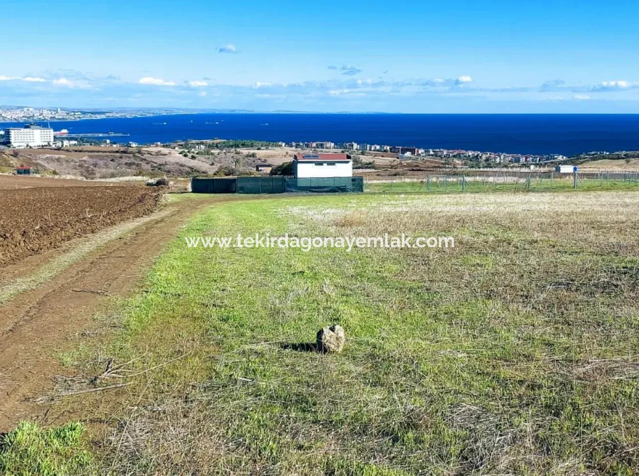 Acil Satılık Lüxs Villa Projesi Uygula Yüksek Kaznç Sağla Yerin Konumu Muhteşem Tamamen Full Deniz Ve Doğa Manzaralı