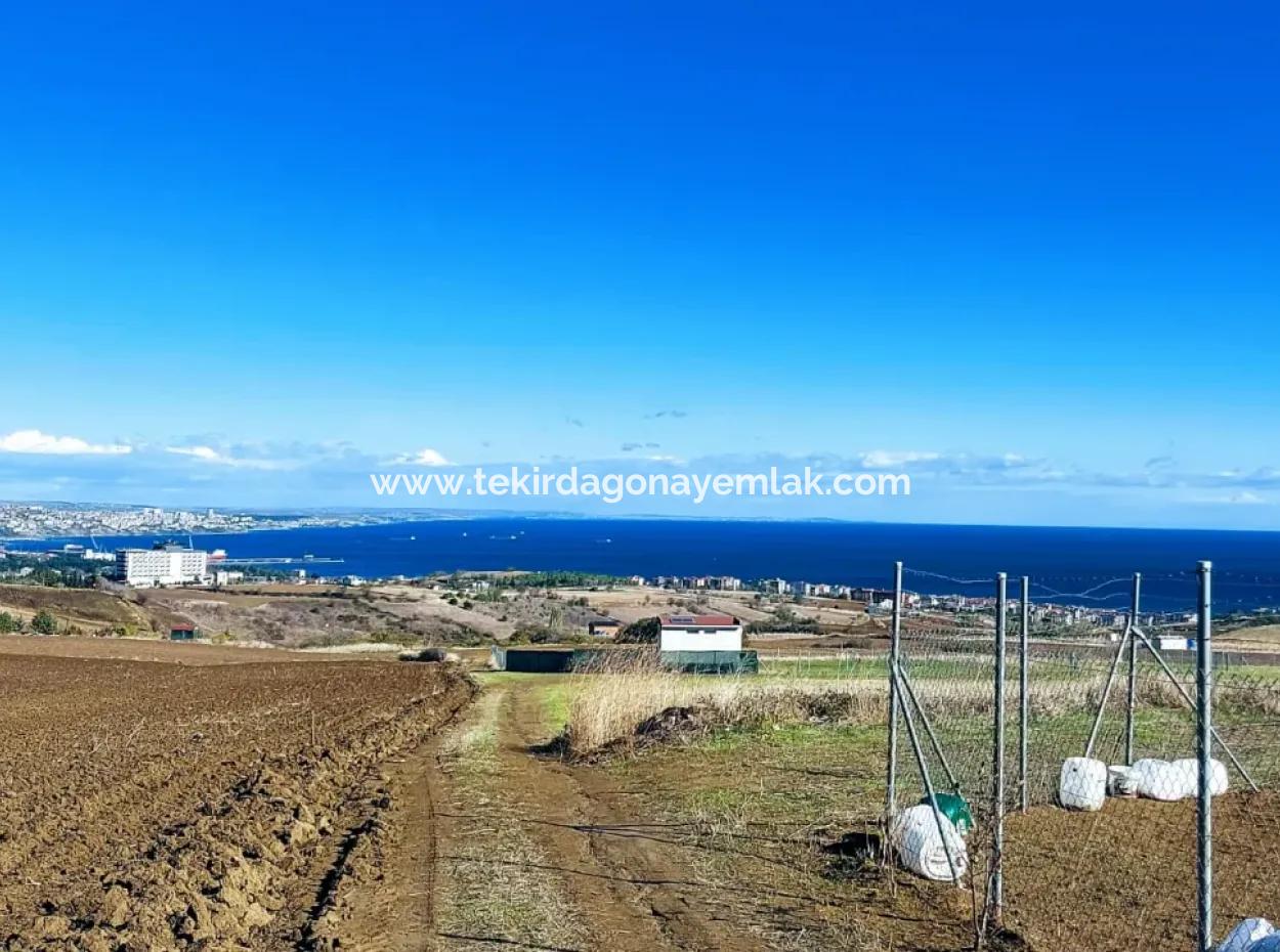 Acil Satılık Lüxs Villa Projesi Uygula Yüksek Kaznç Sağla Yerin Konumu Muhteşem Tamamen Full Deniz Ve Doğa Manzaralı