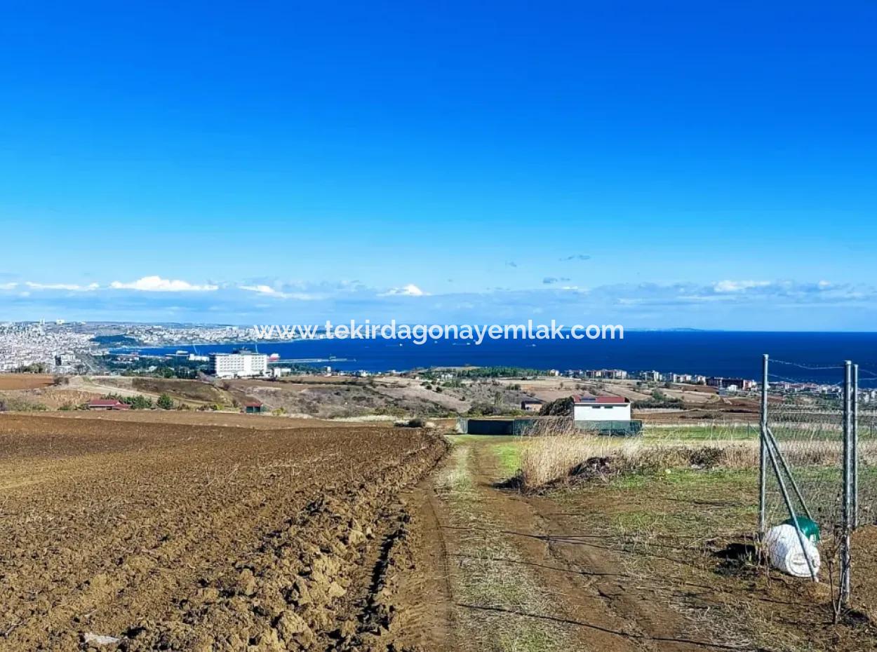 Acil Satılık Lüxs Villa Projesi Uygula Yüksek Kaznç Sağla Yerin Konumu Muhteşem Tamamen Full Deniz Ve Doğa Manzaralı