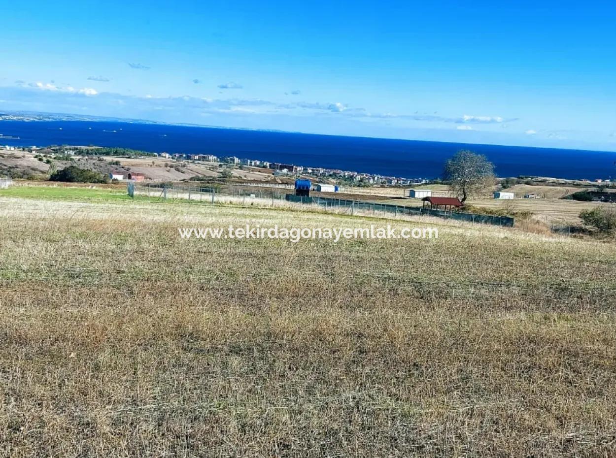 Acil Satılık Lüxs Villa Projesi Uygula Yüksek Kaznç Sağla Yerin Konumu Muhteşem Tamamen Full Deniz Ve Doğa Manzaralı