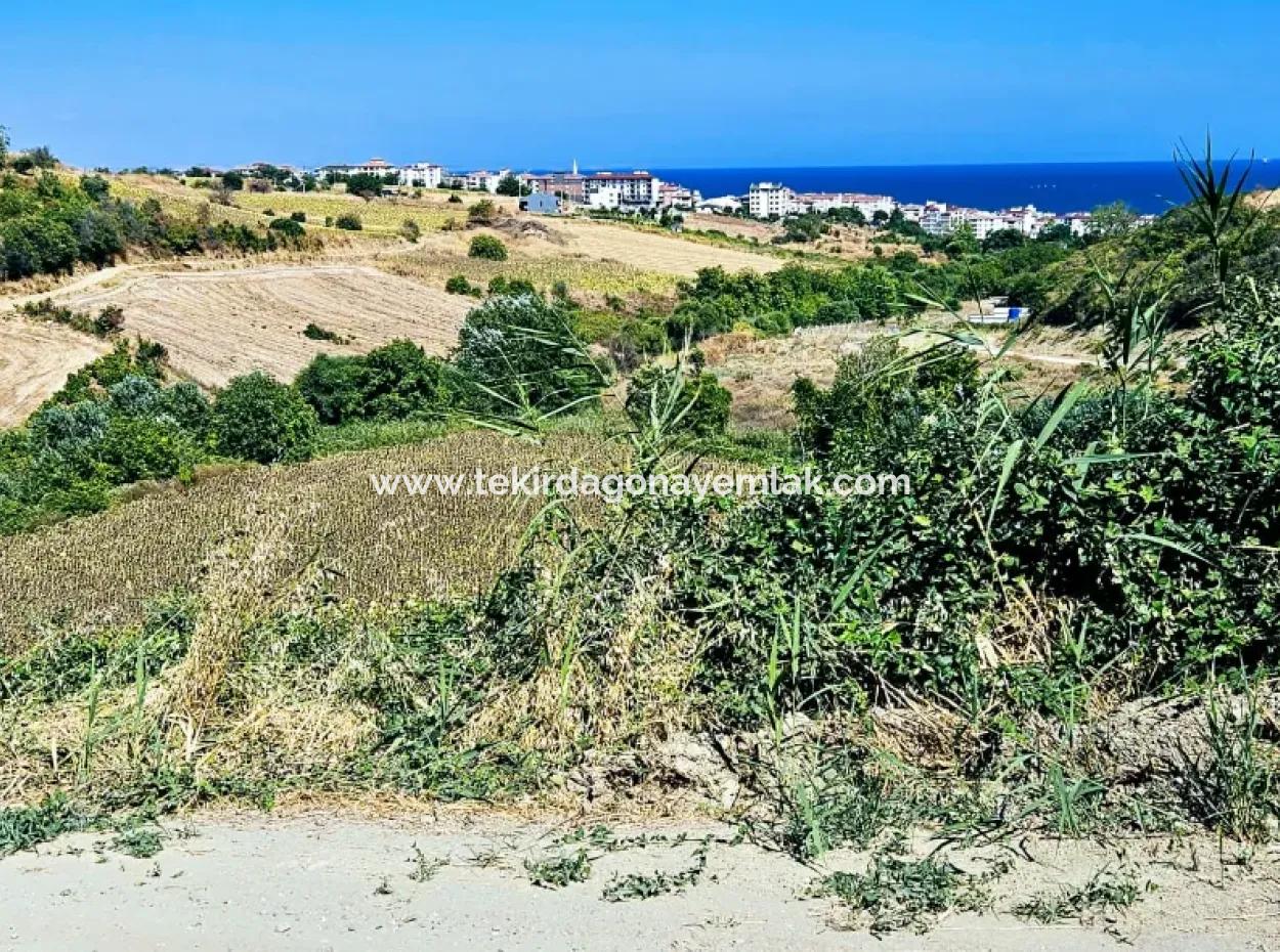 Tekirdağ Barbarosta 9.100 M2 Acil Satılık İster Parsel Yap İstersen Villa Yap Yüksek Kazanç Garantisi