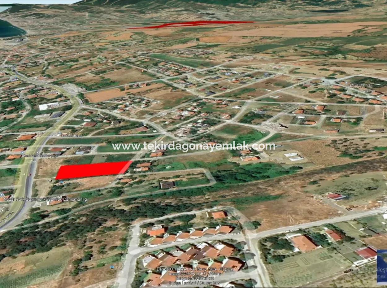 Tekirdağ Barbarosta Acil Satılık Harika Proje Uygula Yüksek Kazanç Sağla 24 Dairelik Kupon Arsa