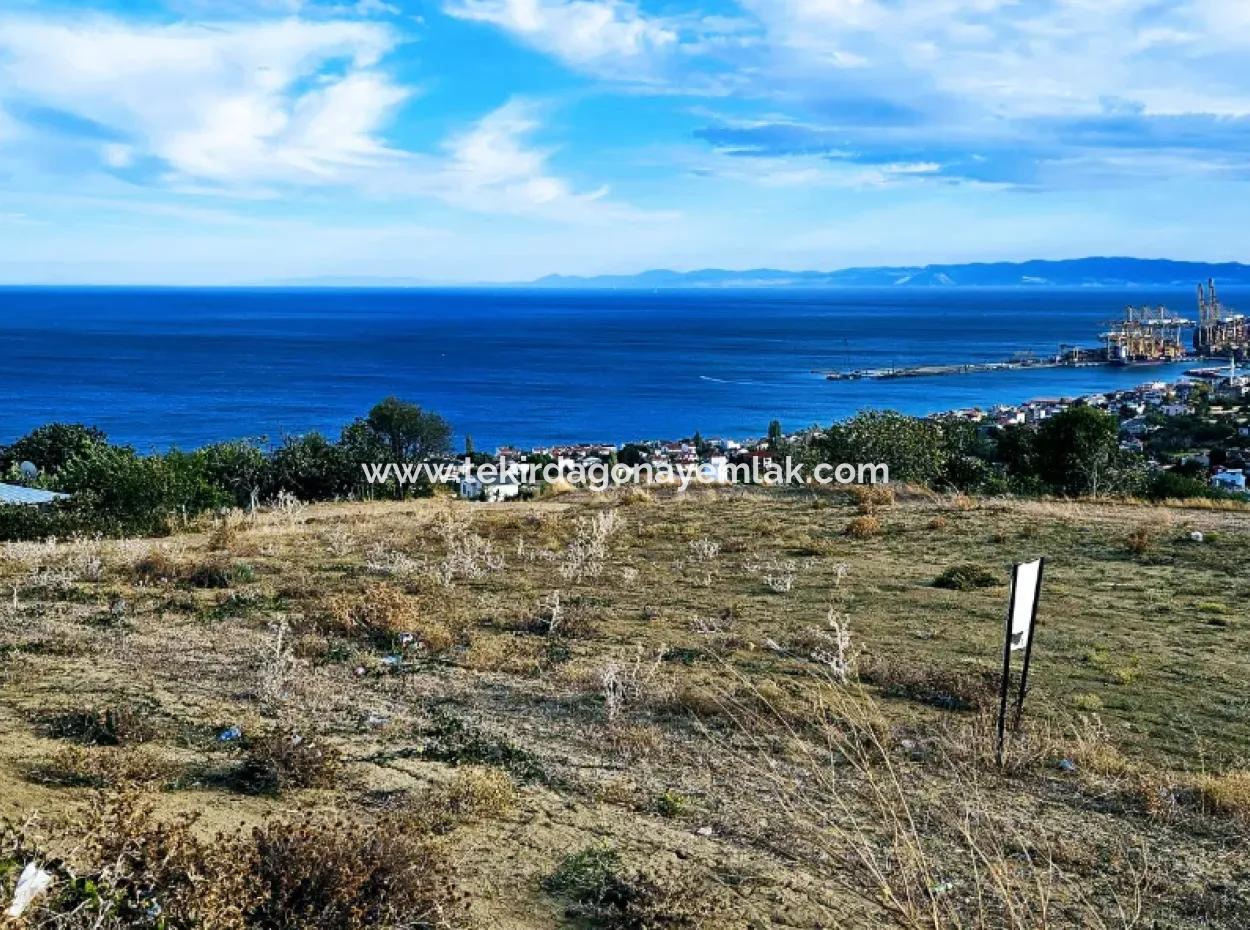 Tekirdağ Barbarosta Acil Satılık Full Deniz Manzaralı Kooparetif Site Yapımına Uygun 3.300 M2 Net Arsa