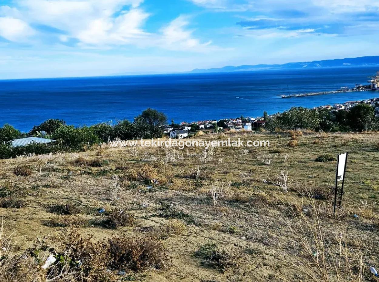 Tekirdağ Barbarosta Acil Satılık Full Deniz Manzaralı Kooparetif Site Yapımına Uygun 3.300 M2 Net Arsa